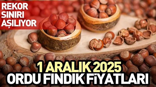 1 Aralık 2025 Ordu Fındık Fiyatları