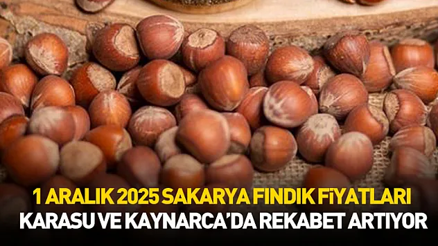 1 Aralık 2025 Sakarya Fındık Fiyatları | Karasu ve Kaynarca'da Rekabet Artıyor