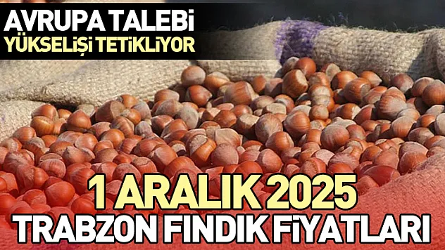 1 Aralık 2025 Trabzon Fındık Fiyatları