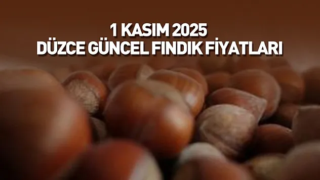 1 Kasım 2025 Düzce Güncel Fındık Fiyatları: Piyasa Denge Arayışında