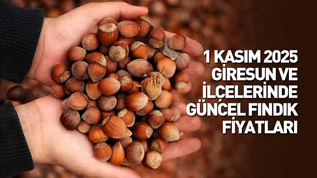 1 Kasım 2025 Giresun Güncel Fındık Fiyatları: Yeni Ayda Fındık Piyasası Yükselişle Açıldı