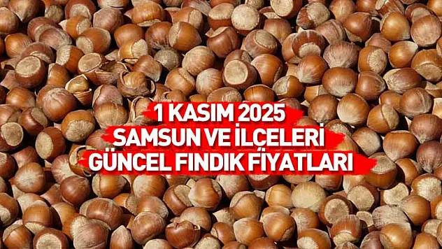 1 Kasım 2025 Samsun Güncel Fındık Fiyatları: Kasım Ayı Umutlu Başladı, Fiyatlar Yükselişte