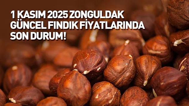 1 Kasım 2025 Zonguldak ve İlçelerinde Güncel Fındık Fiyatlarında Son Durum!