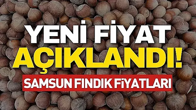 2 Nisan Samsun Fındık Fiyatları açıklandı! | Çarşamba ve Terme'de Şok Düşüş!