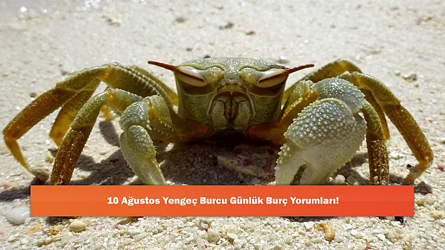 10 Ağustos Yengeç Burcu Günlük Burç Yorumları!