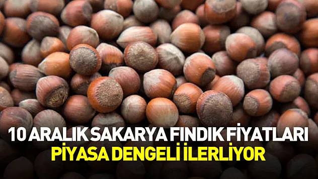 10 Aralık Sakarya Fındık Fiyatları | Piyasa Dengeli İlerliyor