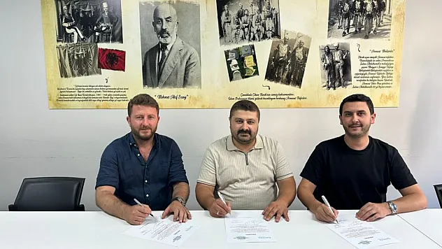 10 hasta yatağı desteği