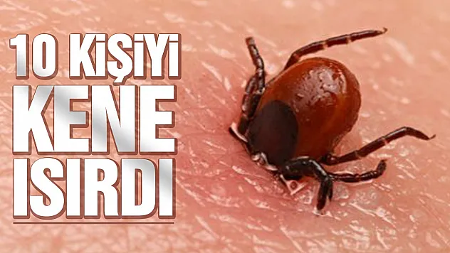 10 Kişi Kırım Kongo Kanamalı Ateşine yakalandı