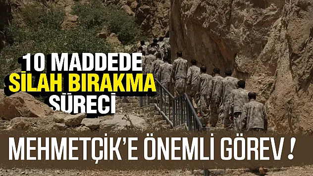 10 Maddede Silahsızlanma Süreci: Tüm Silah ve Ekipmanlar Teslim Edilecek