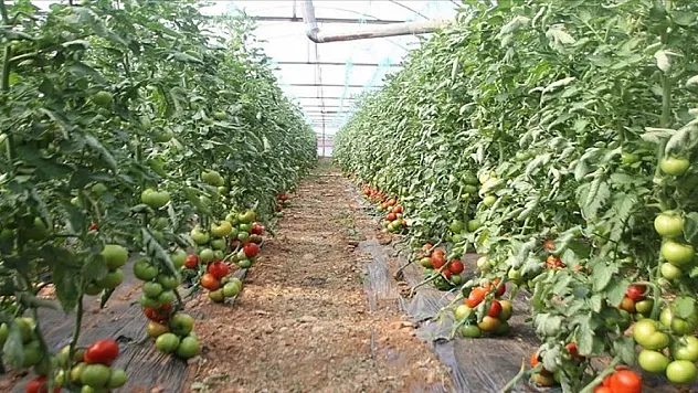 Batı Akdeniz'in ihracatında lider ülke Rusya