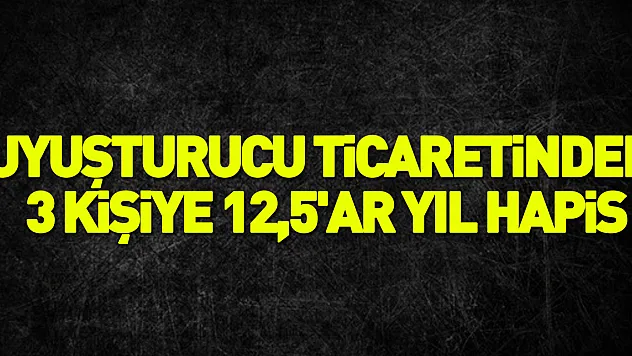 Uyuşturucu ticaretinden 3 kişiye 12,5'ar yıl hapis