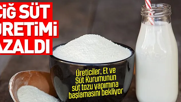 Üreticiler, Et ve Süt Kurumunun süt tozu yapımına başlamasını bekliyor