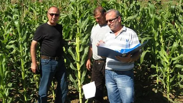 Sılajlık mısırda rekor verim