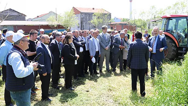 19 Mayıs ilçesinde yem bitkileri tarla günü etkinliği yapıldı