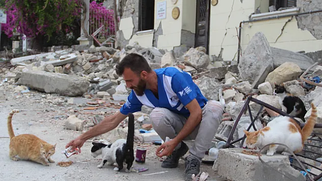 Hatay'da yaklaşık 10 bin depremzede 'can dost' mama desteği bekliyor