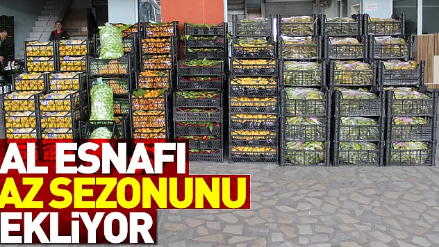 Hal Esnafı Yaz Sezonunu Bekliyor