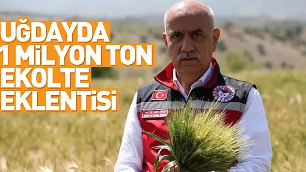 Bakan Kirişci: Buğdayda beklenen 21 milyon ton rekolte Türkiye'nin ihtiyacının karşılanması noktasında yeterli