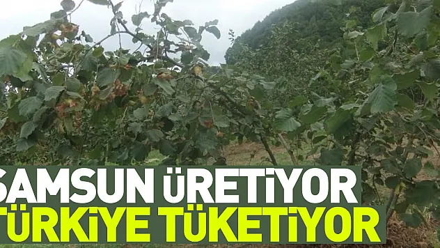 Sebze ve meyveyi Samsun üretiyor, Türkiye tüketiyor