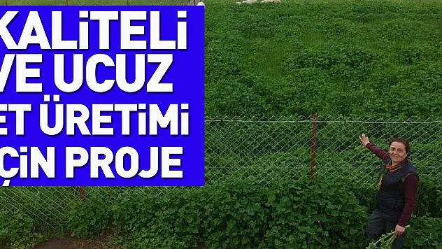 Akademisyenlerden kaliteli ve ucuz et üretimi için proje