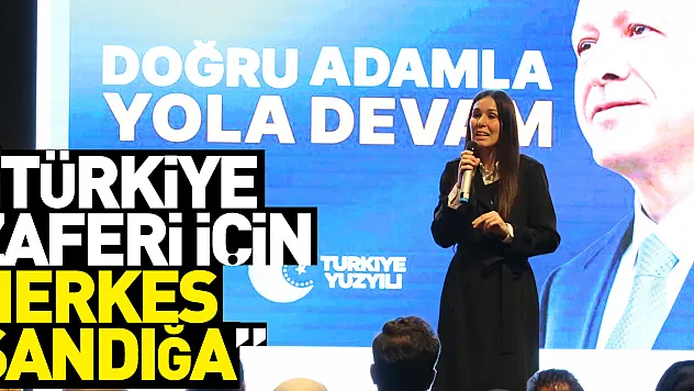 KARAASLAN: 'BÜYÜK TÜRKİYE ZAFERİ İÇİN HERKES SANDIĞA'