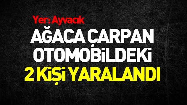 Samsun'da ağaca çarpan otomobildeki 2 kişi yaralandı