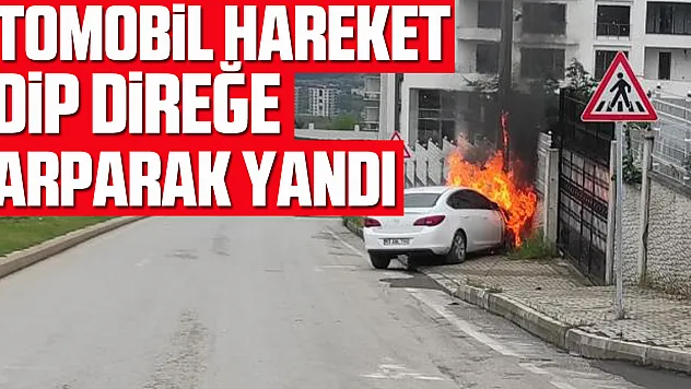 Park halindeki otomobil hareket edip direğe çarparak yandı