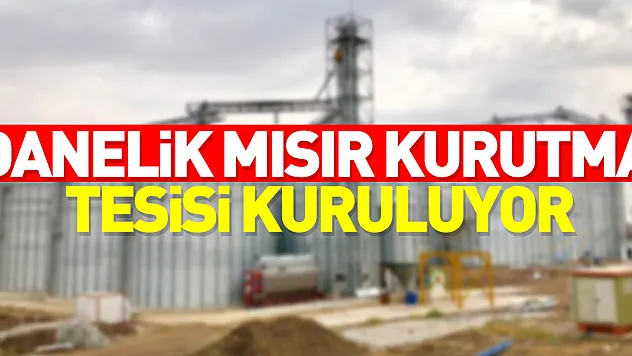 Havza'da danelik mısır kurutma tesisi kuruluyor