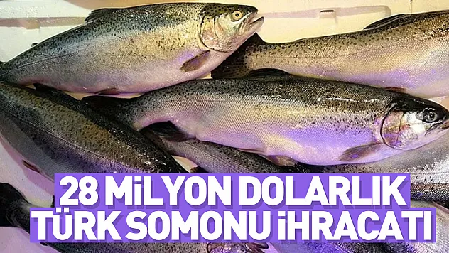 Doğu Karadeniz'den 4 ayda 28,5 milyon dolarlık Türk somonu ihraç edildi
