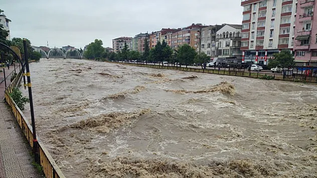 Terme Çayı'nda korkutan görüntü