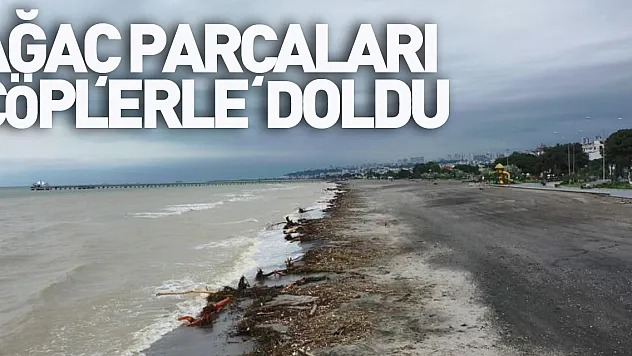 Samsun plajları ağaç parçaları ve çöplerle doldu