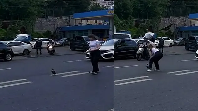 Trafiği durdurup yardım etmek istedi, karganın saldırısına uğradı: O anlar kamerada