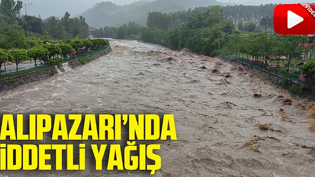 Samsun'un Salıpazarı ilçesinde şiddetli yağış etkili oldu
