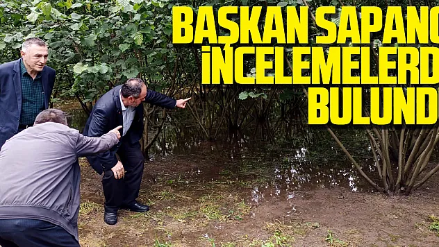 Başkan Sapancı İncelemelerde Bulundu