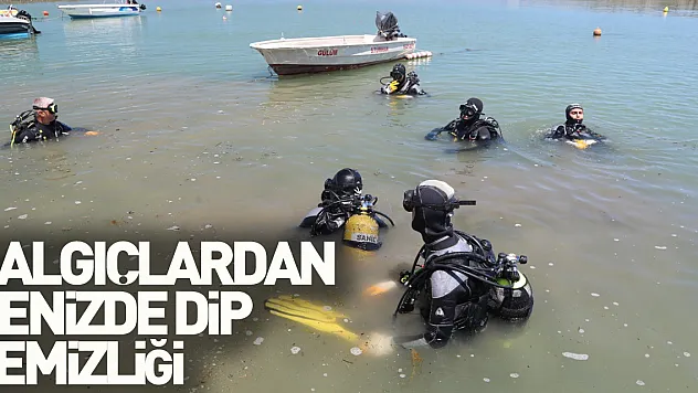 Dalgıçlardan denizde dip temizliği: Otomobil lastikleri çıktı