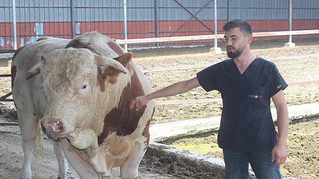 Onu gören şaşırıyor: İkinci el otomobil fiyatına alıcısını bekliyor