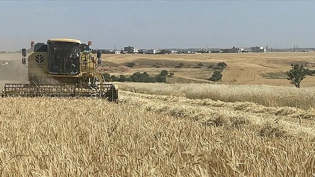 TMO hububat alımını 530 noktadan yapacak