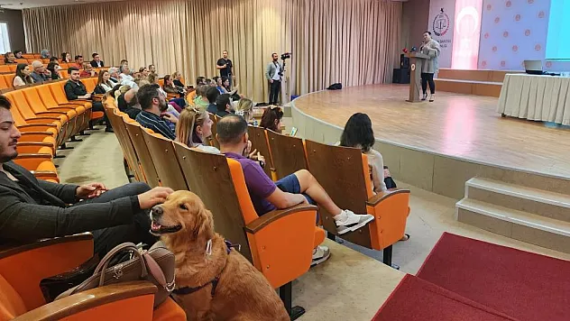 Samsun'da Hayvan Hakları Çalıştayı
