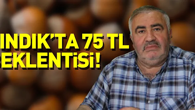 Fındık'ta 75 TL beklentisi!