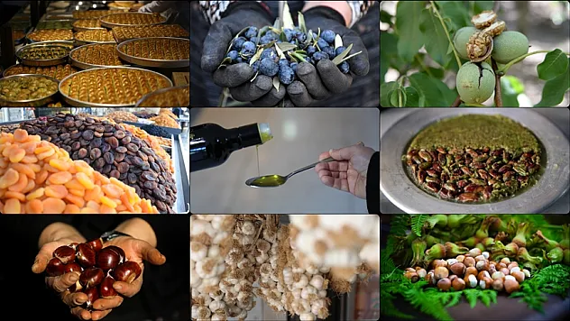 Türkiye'nin AB onaylı coğrafi işaretlerinde gözler ihracata odaklandı