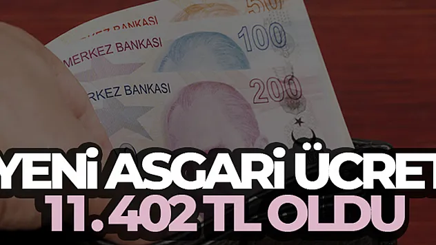 Yeni asgari ücret 11.402 TL oldu