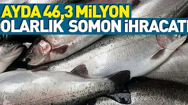 Doğu Karadeniz'den 5 ayda 46,3 milyon dolarlık Türk somonu ihraç edildi