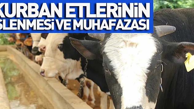 Kurban etlerinin işlenmesi ve muhafazası