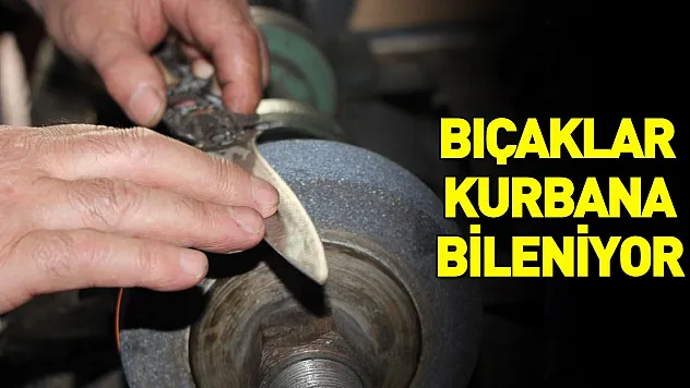 Bıçaklar kurbana bileniyor