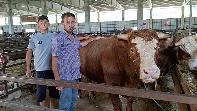 1250 kilogramlık kurbanlık 140 bin liraya alıcısını bekliyor