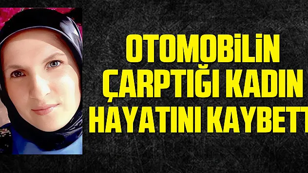 Tarladan evine dönerken otomobilin çarptığı kadın hayatını kaybetti