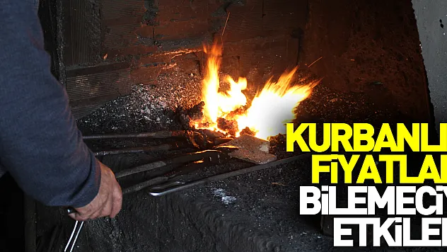 Kurbanlık fiyatları, bilemeciyi etkiledi