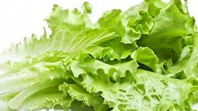 İstanbul'da Haziran ayında en çok kıvırcık salata pahalandı