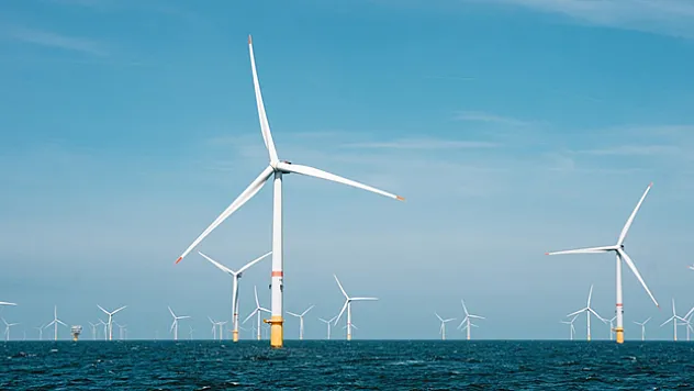 Deniz üstü rüzgar enerjisi saha geliştirme çalışmaları kapsamında çevresel analiz yapılacak