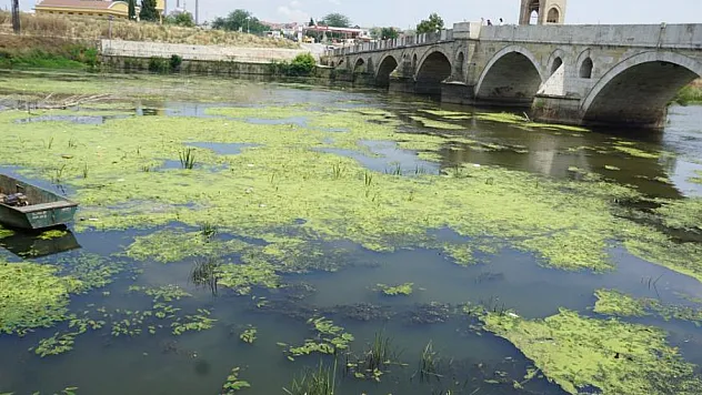 Tunca Nehri plastik atıklar ve çöplerle kaplandı