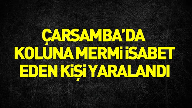 Samsun'da koluna yorgun mermi isabet eden kişi yaralandı